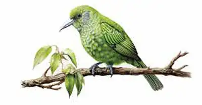 Mapsko Aspr Greenz master plan Sector 35 Sonipat