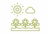 Open Gyms Mapsko Aspr Greenz Sonipat